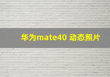 华为mate40 动态照片