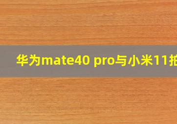 华为mate40 pro与小米11拍照