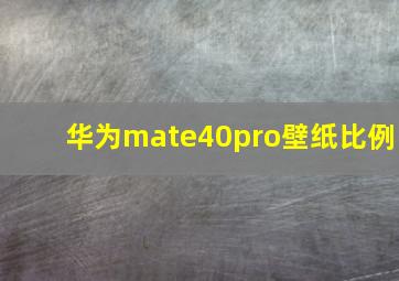 华为mate40pro壁纸比例