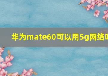 华为mate60可以用5g网络吗