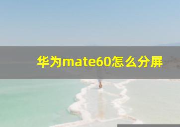 华为mate60怎么分屏