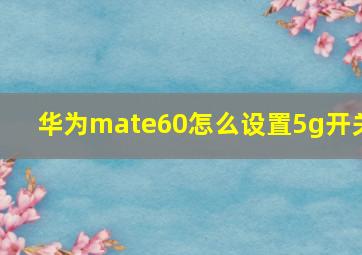 华为mate60怎么设置5g开关