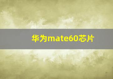 华为mate60芯片