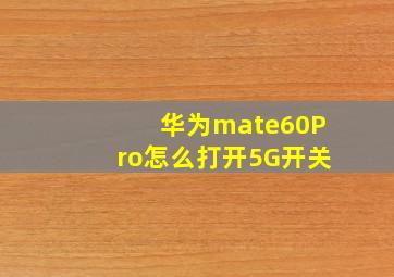 华为mate60Pro怎么打开5G开关