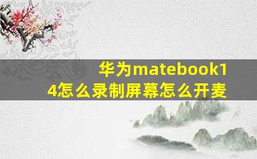 华为matebook14怎么录制屏幕怎么开麦