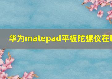 华为matepad平板陀螺仪在哪