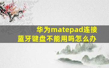 华为matepad连接蓝牙键盘不能用吗怎么办