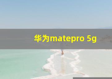 华为matepro 5g