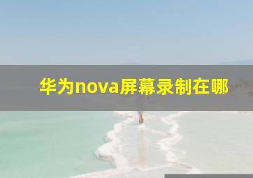 华为nova屏幕录制在哪