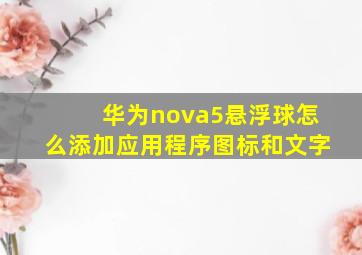 华为nova5悬浮球怎么添加应用程序图标和文字