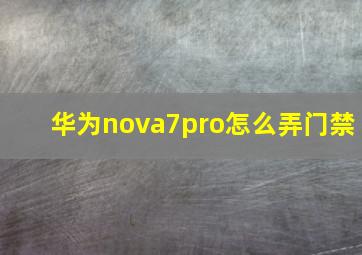 华为nova7pro怎么弄门禁