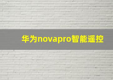 华为novapro智能遥控