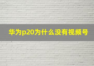 华为p20为什么没有视频号