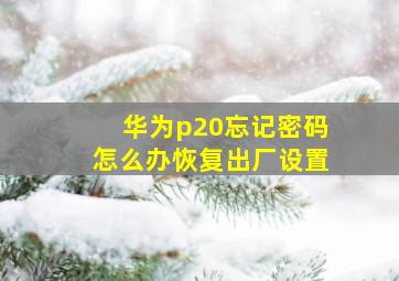 华为p20忘记密码怎么办恢复出厂设置