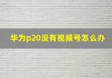 华为p20没有视频号怎么办