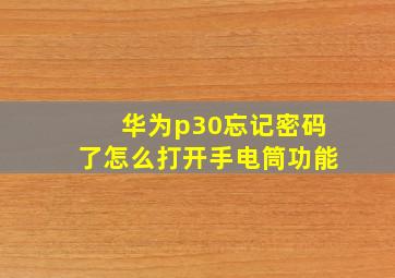 华为p30忘记密码了怎么打开手电筒功能