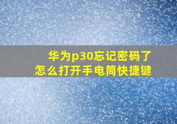 华为p30忘记密码了怎么打开手电筒快捷键