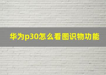 华为p30怎么看图识物功能