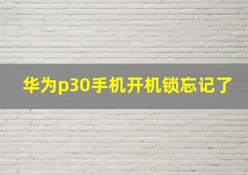 华为p30手机开机锁忘记了