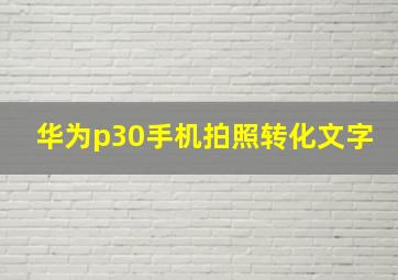 华为p30手机拍照转化文字