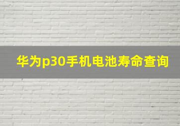 华为p30手机电池寿命查询