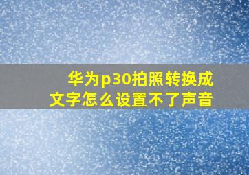 华为p30拍照转换成文字怎么设置不了声音