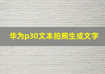 华为p30文本拍照生成文字