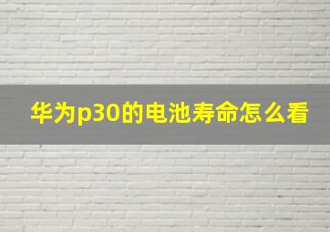 华为p30的电池寿命怎么看