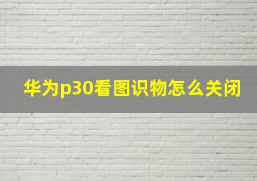 华为p30看图识物怎么关闭