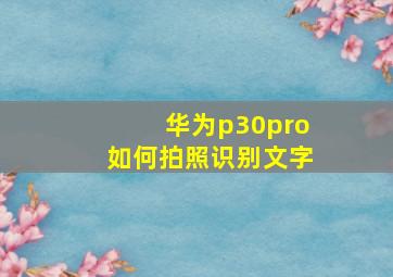 华为p30pro如何拍照识别文字