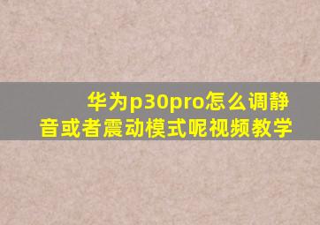 华为p30pro怎么调静音或者震动模式呢视频教学