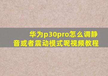 华为p30pro怎么调静音或者震动模式呢视频教程