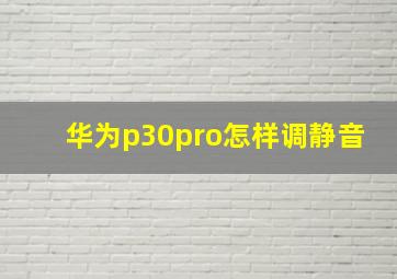 华为p30pro怎样调静音