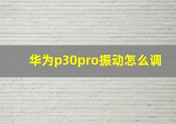 华为p30pro振动怎么调