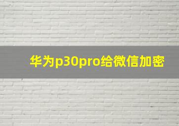 华为p30pro给微信加密