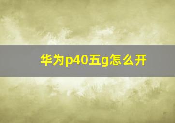 华为p40五g怎么开