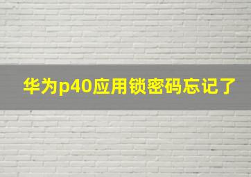 华为p40应用锁密码忘记了