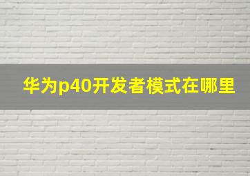 华为p40开发者模式在哪里