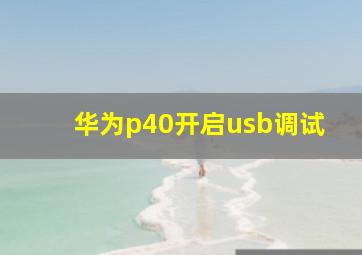 华为p40开启usb调试