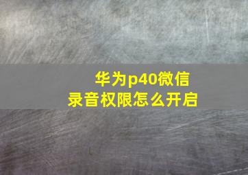 华为p40微信录音权限怎么开启