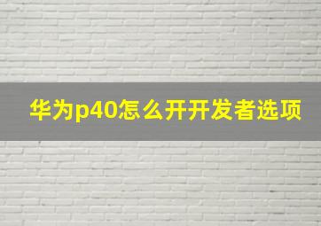 华为p40怎么开开发者选项