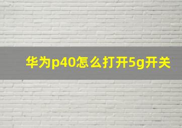 华为p40怎么打开5g开关