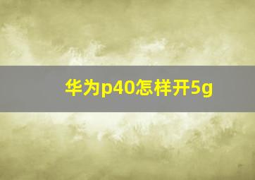 华为p40怎样开5g