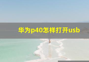 华为p40怎样打开usb