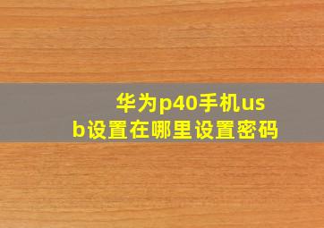 华为p40手机usb设置在哪里设置密码