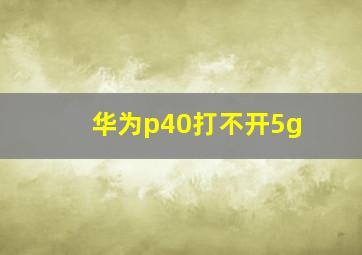 华为p40打不开5g