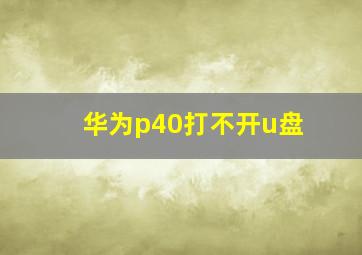 华为p40打不开u盘