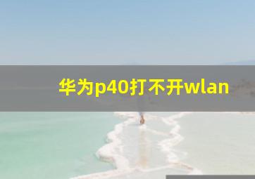 华为p40打不开wlan