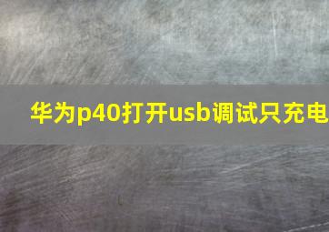 华为p40打开usb调试只充电