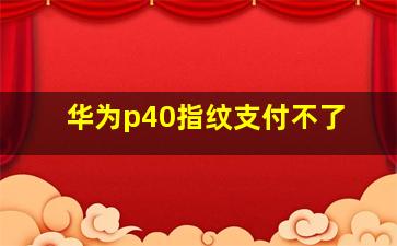 华为p40指纹支付不了